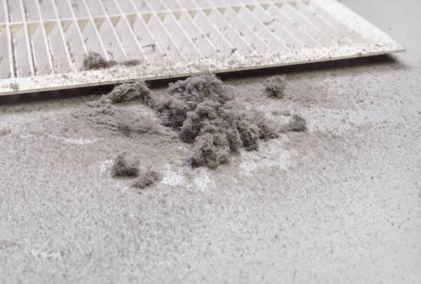 Best Local Air Duct Cleaning Services  in Baltimore Highlands, MD